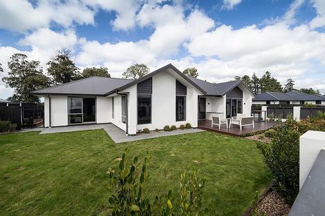 Photo of property in 8 Kelburn Place, Tinwald, Ashburton, 7700