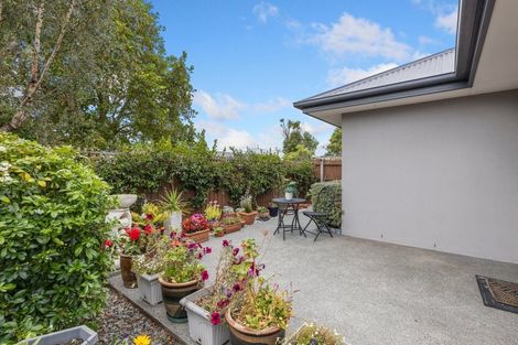 Photo of property in 39d Harrison Street, Mairehau, Christchurch, 8013
