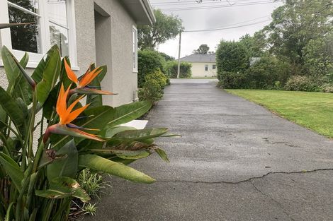 Photo of property in 46 Totara Street, Lansdowne, Masterton, 5810