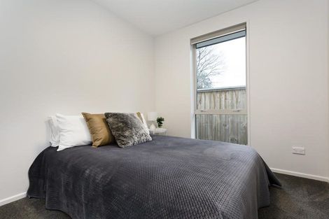 Photo of property in 20b Church Street, Mosgiel, 9024