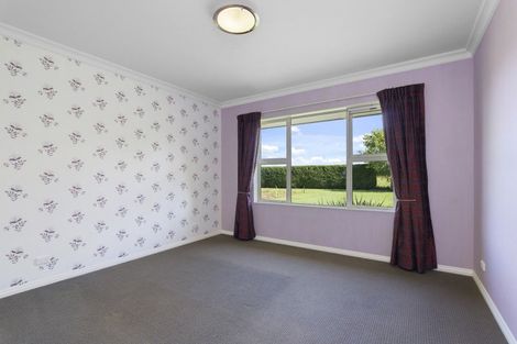 Photo of property in 133 Hollands Road, Tinwald, Ashburton, 7771