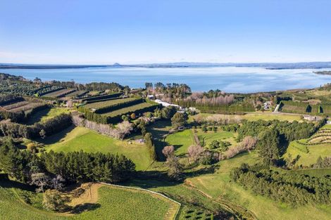 Photo of property in 263 Kauri Point Road, Tahawai, Katikati, 3170