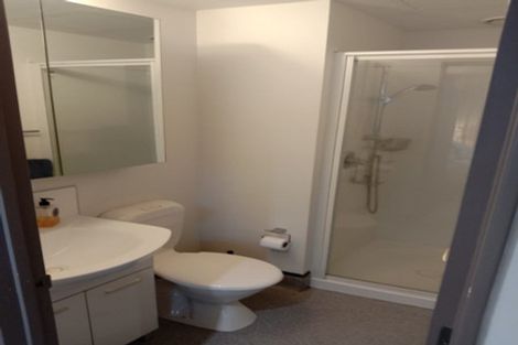 Photo of property in Dual Apartments, 108/142 Vivian Street, Te Aro, Wellington, 6011