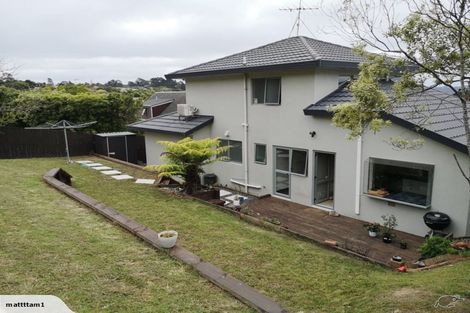 Photo of property in 24 Goldfinch Rise, Unsworth Heights, Auckland, 0632