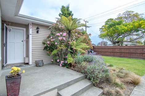 Photo of property in 100 Slacks Road, Awapuni, Palmerston North, 4412