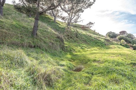 Photo of property in 5 Mowhanau Drive, Kai Iwi, Wanganui, 4574