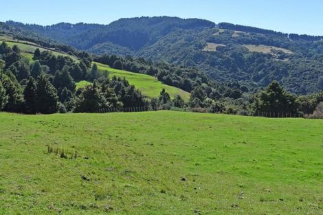 Photo of property in 128 Schollum Road, Big Omaha, Warkworth, 0985