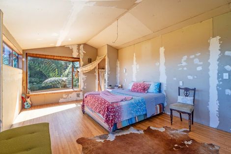 Photo of property in 820 The 309 Road, Waiau, Coromandel, 3581