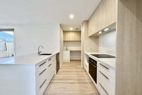 Photo of property in 98c Geraldine Street, Edgeware, Christchurch, 8013