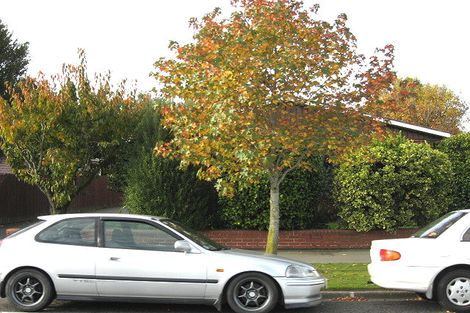 Photo of property in 30b Maidstone Road, Ilam, Christchurch, 8041