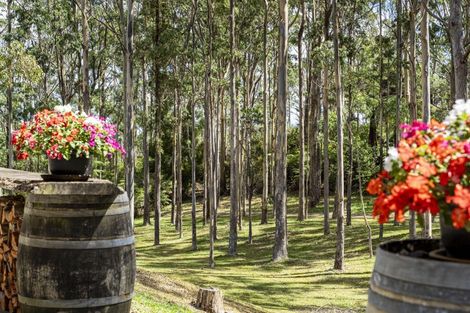 Photo of property in 42 Oyster Point Road, Kaukapakapa, Warkworth, 0984