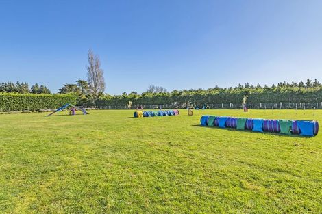 Photo of property in 112 Irvines Road, Dunsandel, Leeston, 7682