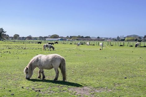 Photo of property in 172e Manaia Road, Homebush, Masterton, 5885