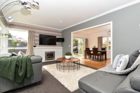 Photo of property in 20 Wymer Terrace, Chartwell, Hamilton, 3210