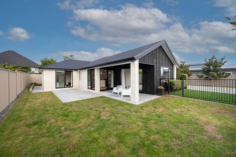 Photo of property in 19 Te Heipora Place, Havelock North, 4130