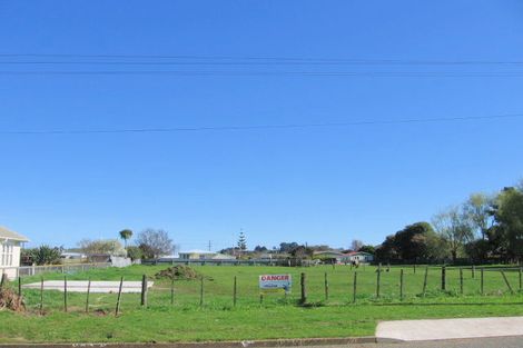 Photo of property in 9 Hetta Street, Foxton, 4814