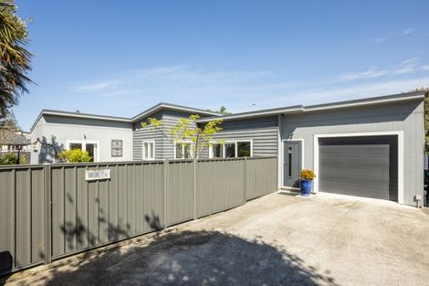 Photo of property in 117a Nelson Crescent, Napier South, Napier, 4110