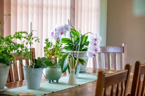 Photo of property in 9 Matthews Crescent, Melville, Hamilton, 3206