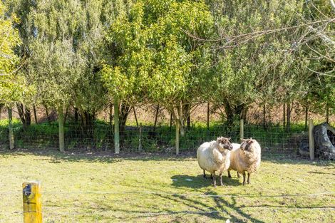 Photo of property in 7 Ngahuia Place, Tokanui, Te Awamutu, 3874