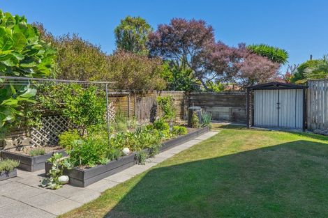 Photo of property in 91 Atkinson Avenue, Otaki Beach, Otaki, 5512