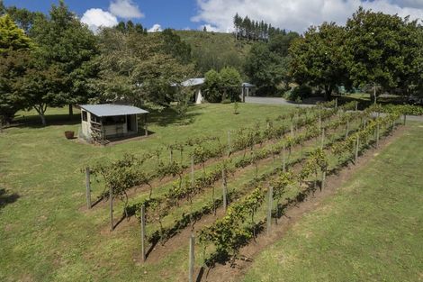 Photo of property in 239a Waitawheta Road, Waikino, Waihi, 3682