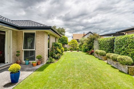 Photo of property in 609a York Street, Mahora, Hastings, 4120