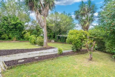 Photo of property in 45 Craighall Crescent, Wakari, Dunedin, 9010