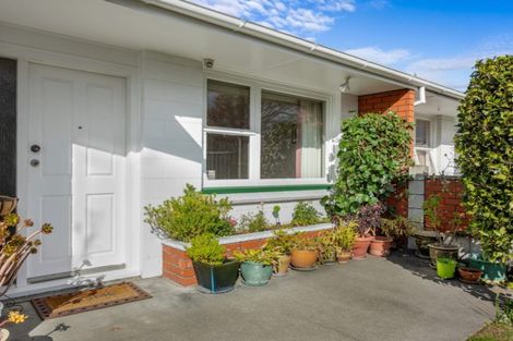 Photo of property in 1/113 Maxwell Road, Blenheim, 7201