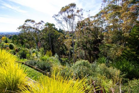 Photo of property in 4 Sanderson Place, Havelock North, 4130