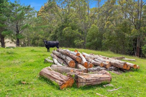 Photo of property in 646 Pungaere Road, Waipapa, Kerikeri, 0295