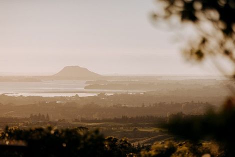 Photo of property in 449b Lund Road, Aongatete, Katikati, 3178