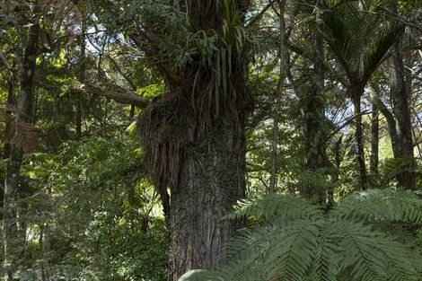 Photo of property in 42b Dutton Road, Peria, Kaitaia, 0482