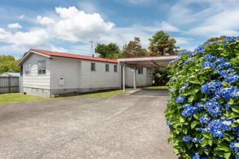 Photo of property in 38a Wylie Street, Gate Pa, Tauranga, 3112