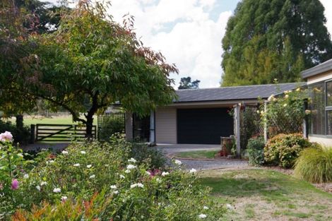 Photo of property in 529 Whangamata Road, Kinloch, Taupo, 3377