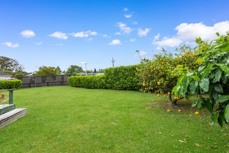 Photo of property in 42 Page Street, Morrinsville, 3300