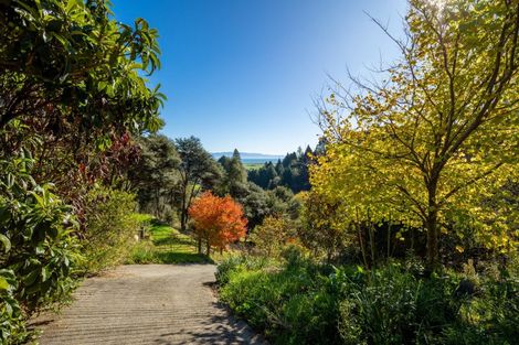 Photo of property in 53a Hillwood Drive, Wakapuaka, Nelson, 7071