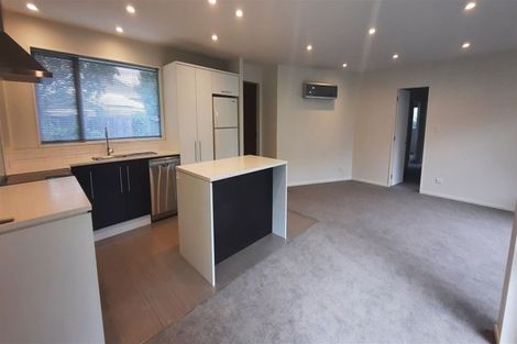 Photo of property in 2a Winsor Crescent, Spreydon, Christchurch, 8024