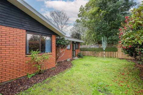 Photo of property in 297b Ashgrove Terrace, Somerfield, Christchurch, 8024