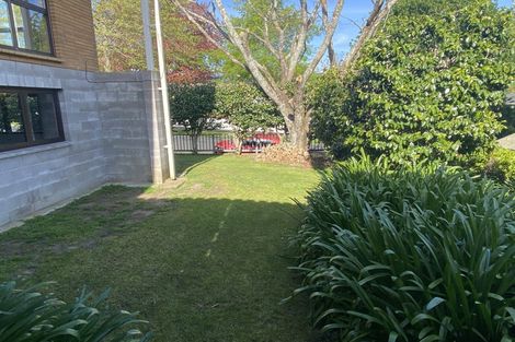 Photo of property in 5 Oakley Avenue, Claudelands, Hamilton, 3214