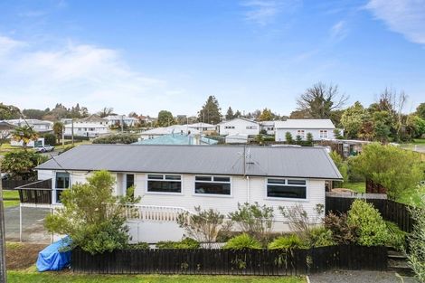 Photo of property in 36 Bent Street, Putaruru, 3411