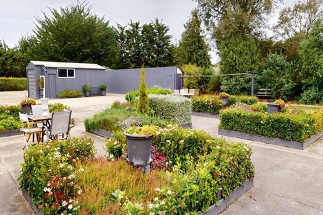 Photo of property in 387 Mceneany Road, Pukeuri, Oamaru, 9493