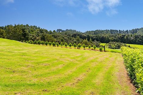 Photo of property in 917 Waipu Caves Road, Waipu, 0582