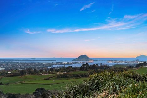 Photo of property in 865a Upper Ohauiti Road, Ohauiti, Tauranga, 3173