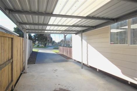 Photo of property in 43 Hall Road, Matua, Tauranga, 3110