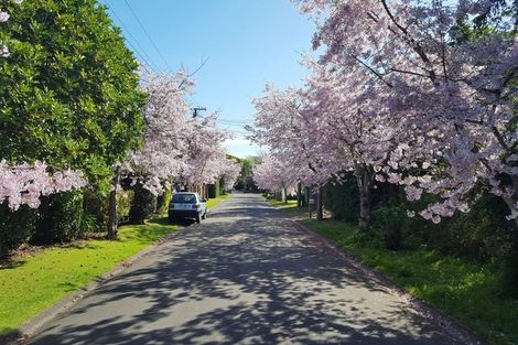 Photo of property in 11 Karaka Grove, Waikanae, 5036