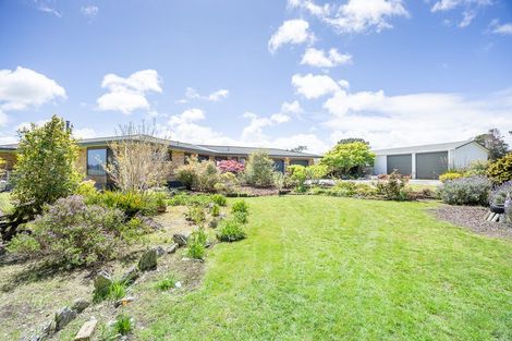 Photo of property in 196 Mount Wesley Coast Road, Dargaville, 0371