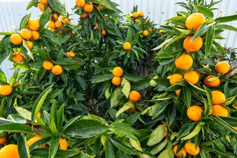 Photo of property in 23 Hathaway Street, Spring Creek, 7202