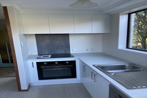 Photo of property in 36 Littlebourne Road, Roslyn, Dunedin, 9010