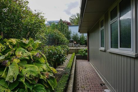 Photo of property in 39 Pacific Street, Roslyn, Dunedin, 9010