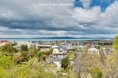 Photo of property in 22 Colenso Avenue, Hospital Hill, Napier, 4110